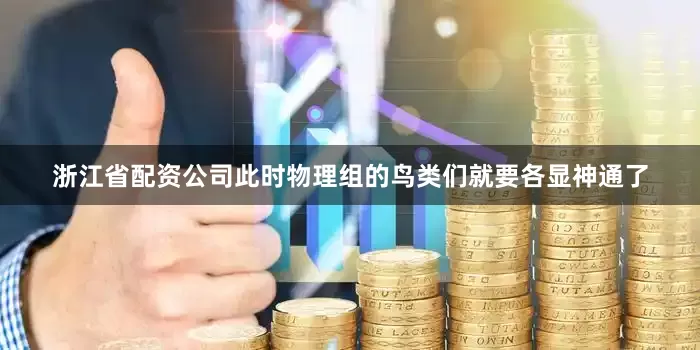 浙江省配资公司此时物理组的鸟类们就要各显神通了