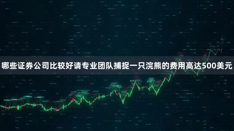 哪些证券公司比较好请专业团队捕捉一只浣熊的费用高达500美元