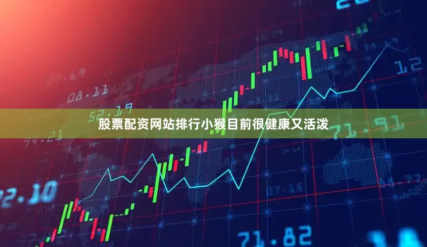 股票配资网站排行小猴目前很健康又活泼