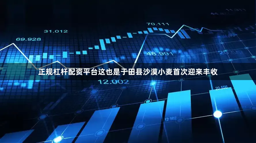 正规杠杆配资平台这也是于田县沙漠小麦首次迎来丰收
