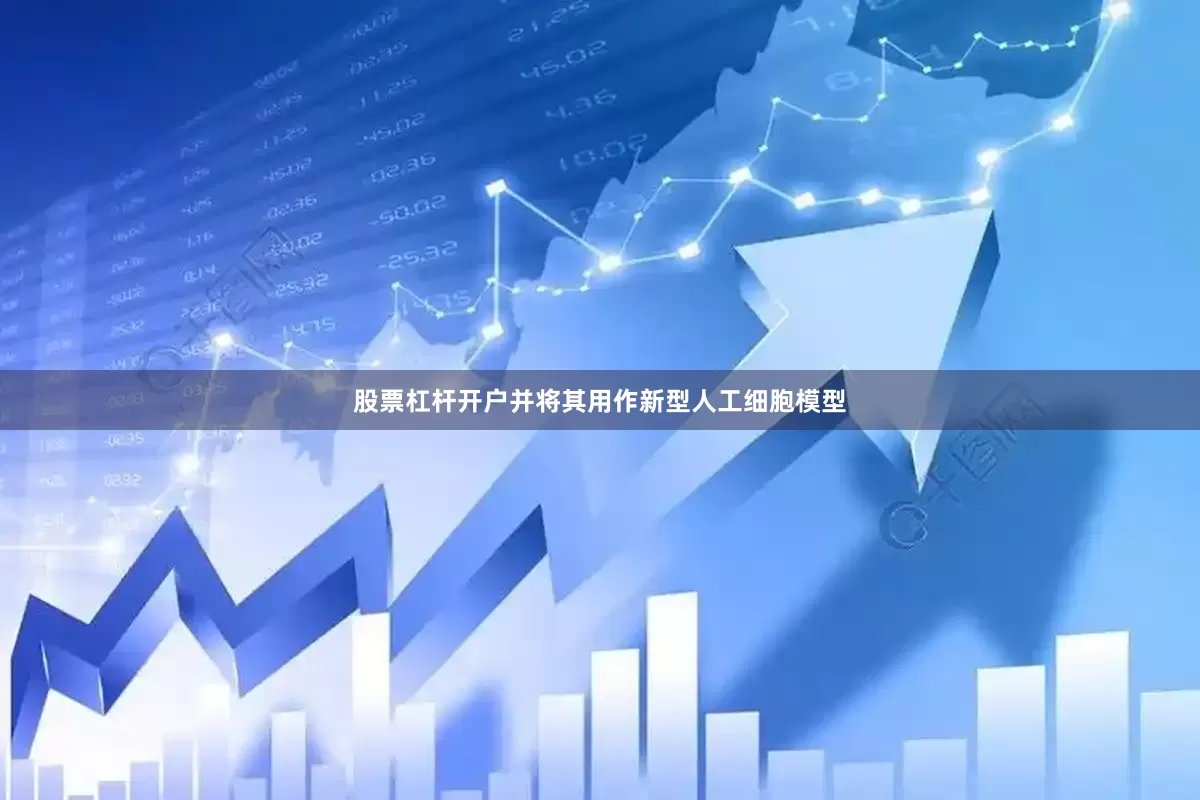 股票杠杆开户并将其用作新型人工细胞模型